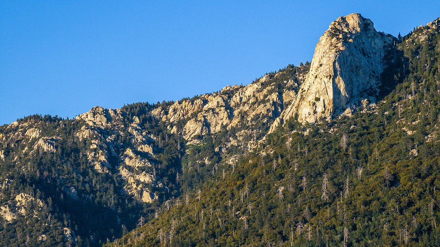 Tahquitz Rock and the forested mountainside above Idyllwild, photographed by Mark Miller.