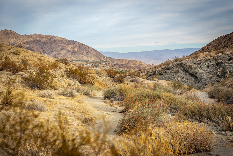 Hiking in Palm Desert: Trails, Views & Safety Guide
