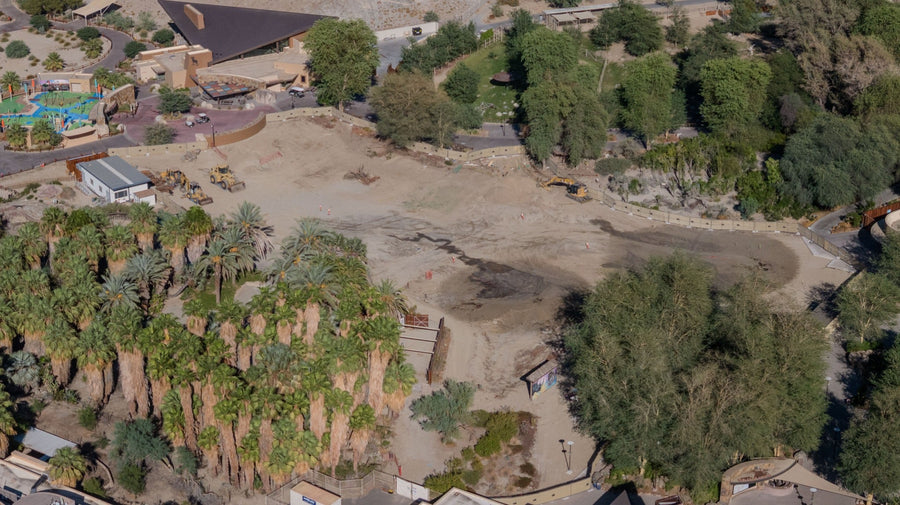 The Living Desert: Expansion Progress Tracker