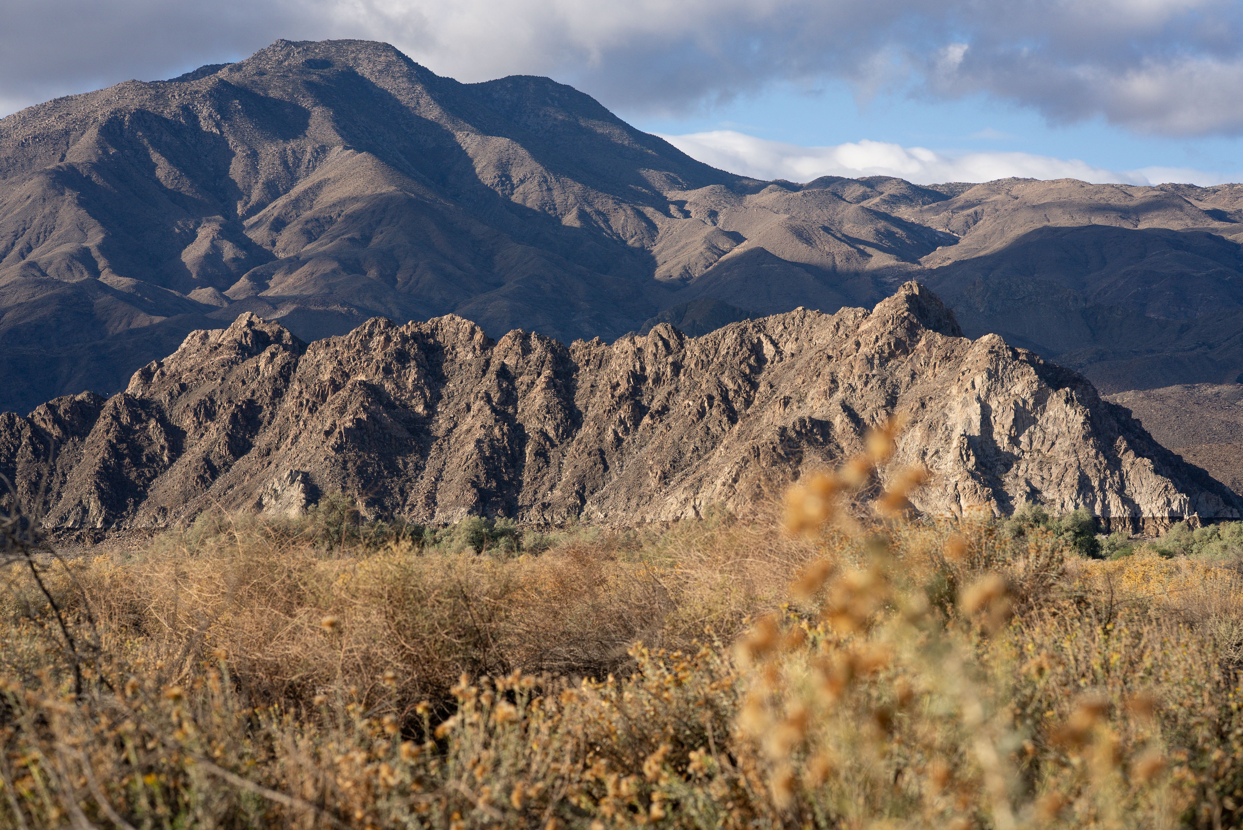 Indio, California - City of Festivals | Visual Guide - Desert Oasis Insider