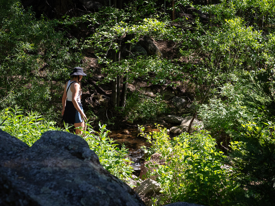Exploring the Serenity of Strawberry Creek In Idyllwild