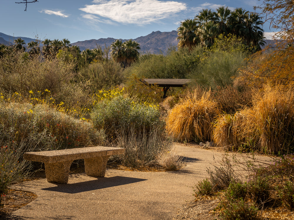 Walking Trails at The Living Desert Zoo and Gardens in Palm Desert