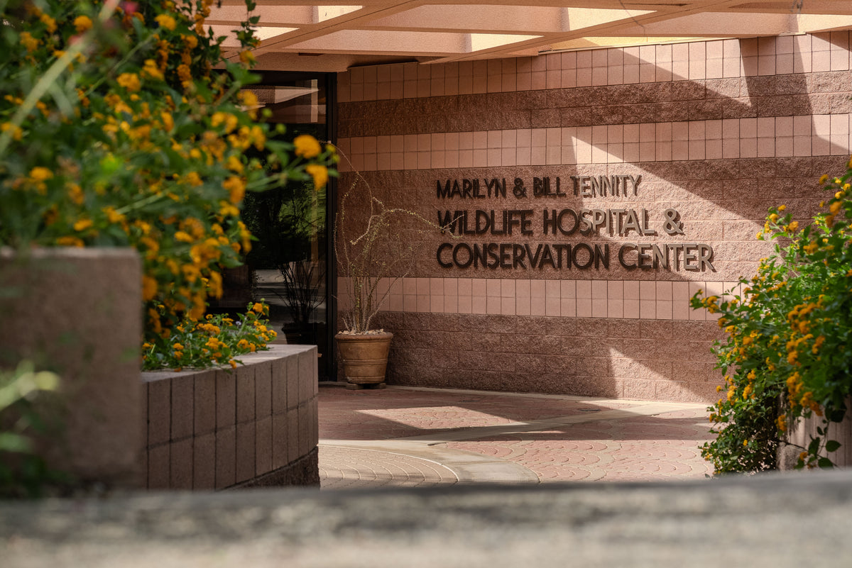 Marilyn & Bill Tennity Wildlife Hospital & Conservation Center
