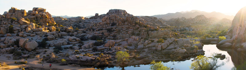 Water beneath granite boulders in the Barker Dam basin, Joshua Tree National Park. Photograph: NPS / Hannah Schwalbe.