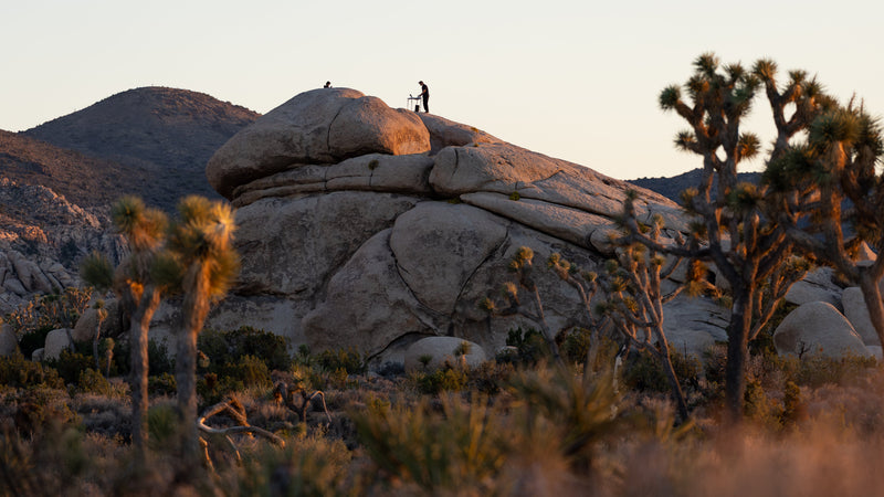 A granitic outcrop and Joshua trees at Hall of Horrors, Joshua Tree National Park. Photograph by Mark Miller.