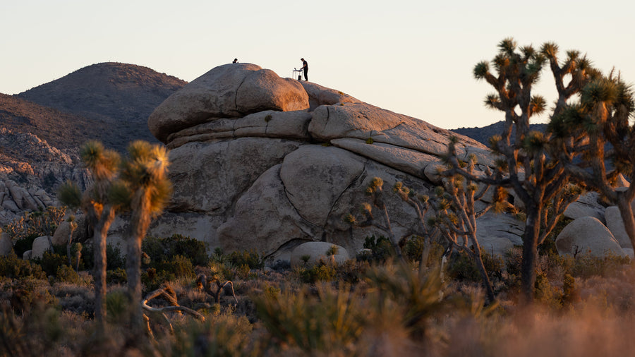 A granitic outcrop and Joshua trees at Hall of Horrors, Joshua Tree National Park. Photograph by Mark Miller.