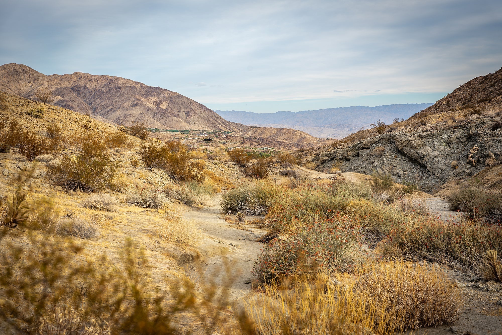 palm desert hiking view