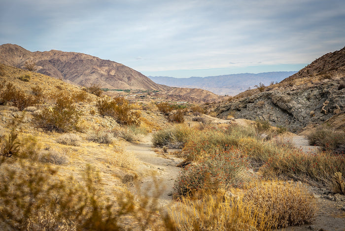 palm desert hiking view