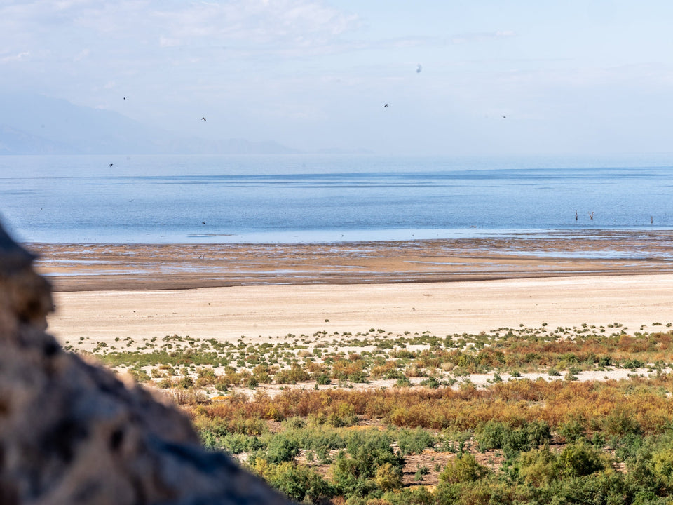 Salton Sea shoreline and birds viewed from Rock Hill at Sonny Bono National Wildlife Refuge