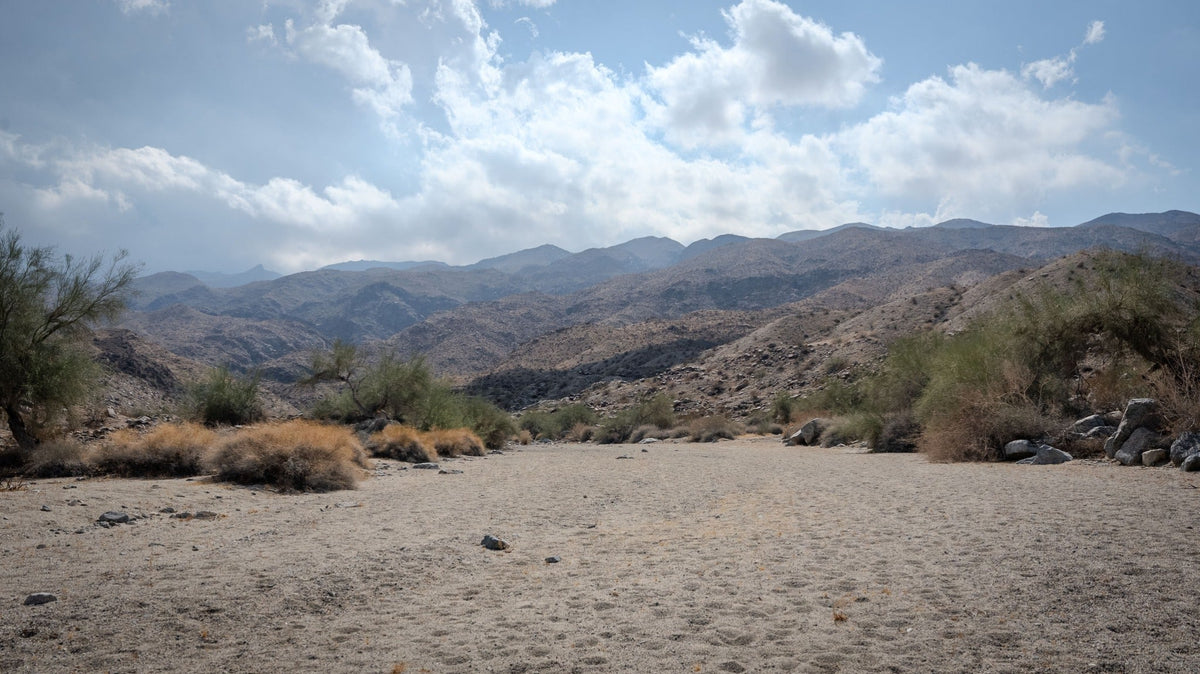 Sandy desert wash, shrubs, rocky mountains and clouds in La Quinta Cove, September 28, 2026. Photograph by Mark Miller.