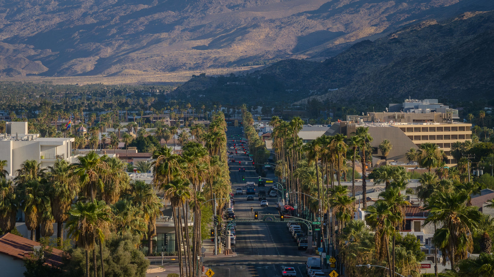 Palm Canyon Drive’s historic palm allée running through downtown Palm Springs toward the San Jacinto Mountains.