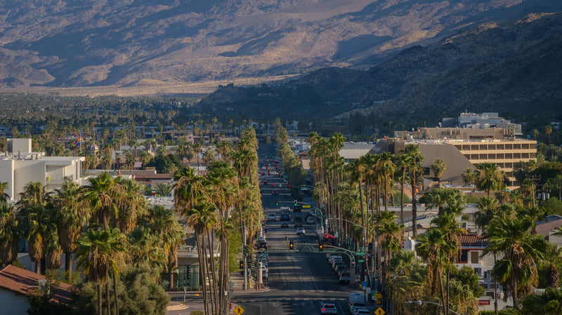 Palm Canyon Drive’s historic palm allée running through downtown Palm Springs toward the San Jacinto Mountains.