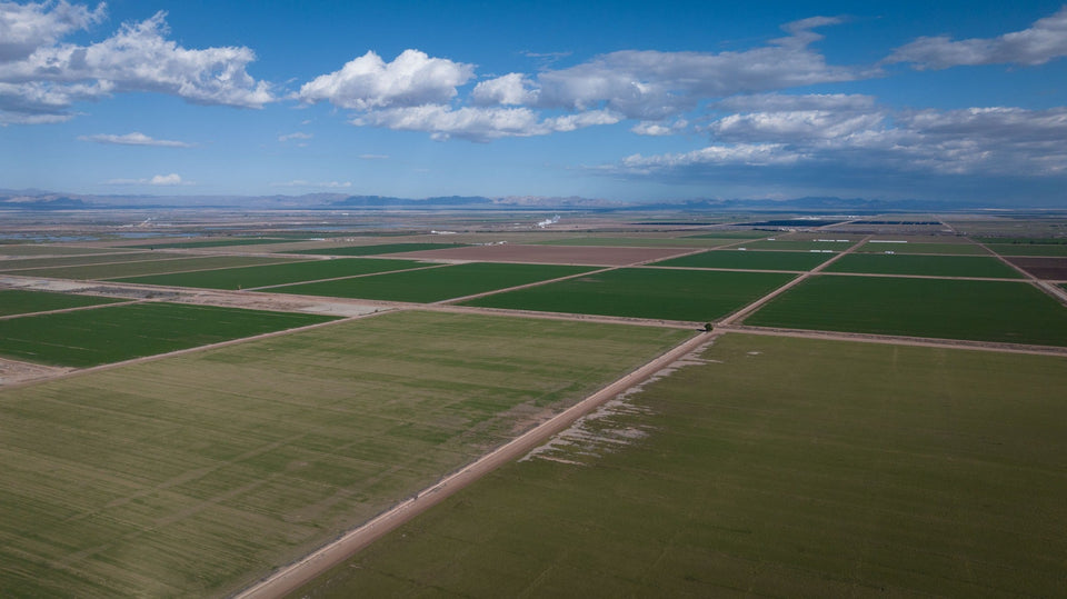 Patchwork of agricultural fields near the southeastern Salton Sea, photographed by Mark Miller in January 2026.