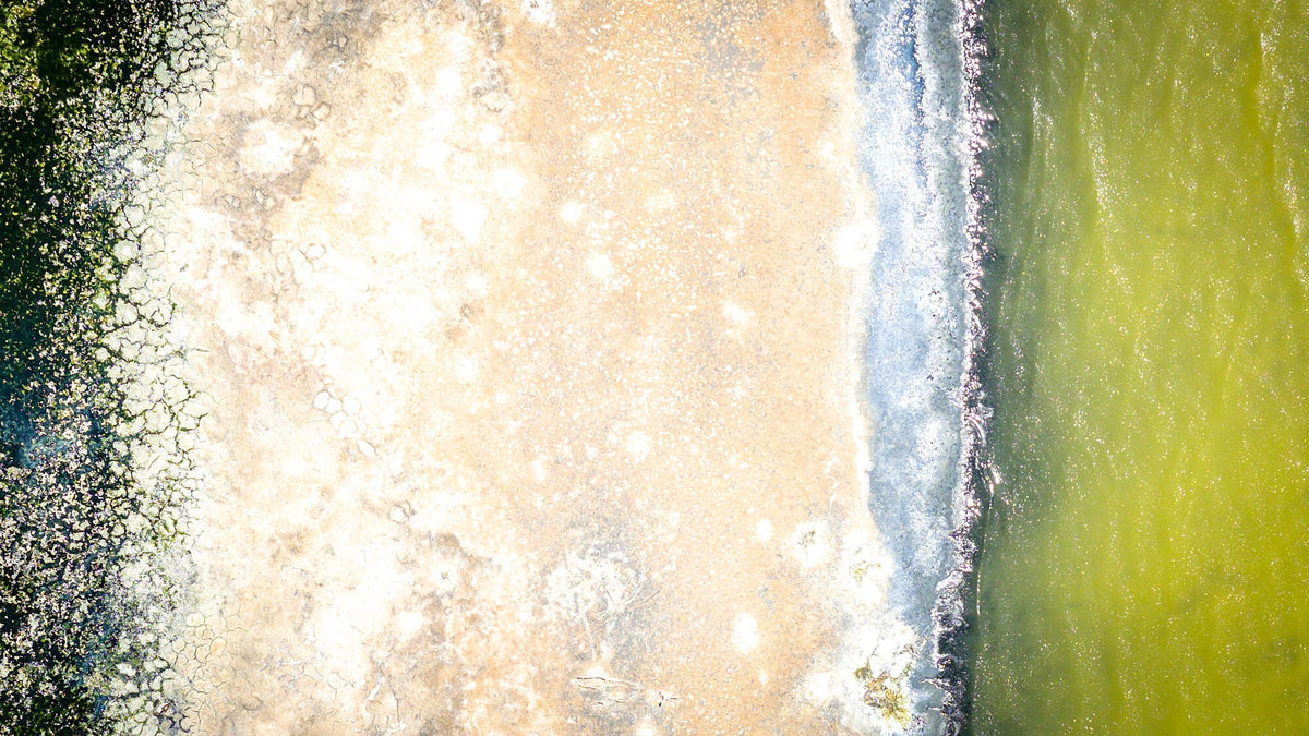 Aerial view of the Salton Sea shoreline