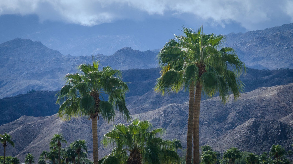 Palms and layered Santa Rosa Mountain ridges beneath clouds, photographed by Mark Miller at Rancho Las Palmas in Rancho Mirage.