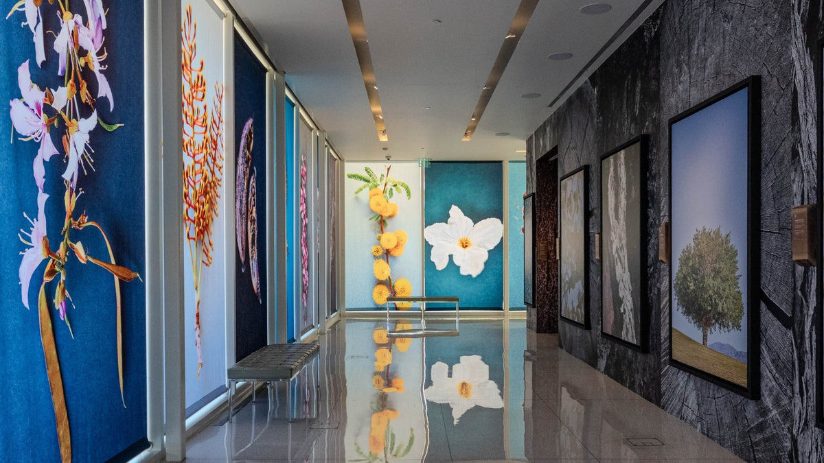 Curating Canopy exhibition inside Sunnylands Center in Rancho Mirage, with oversized botanical photographs, framed tree images and gallery benches.