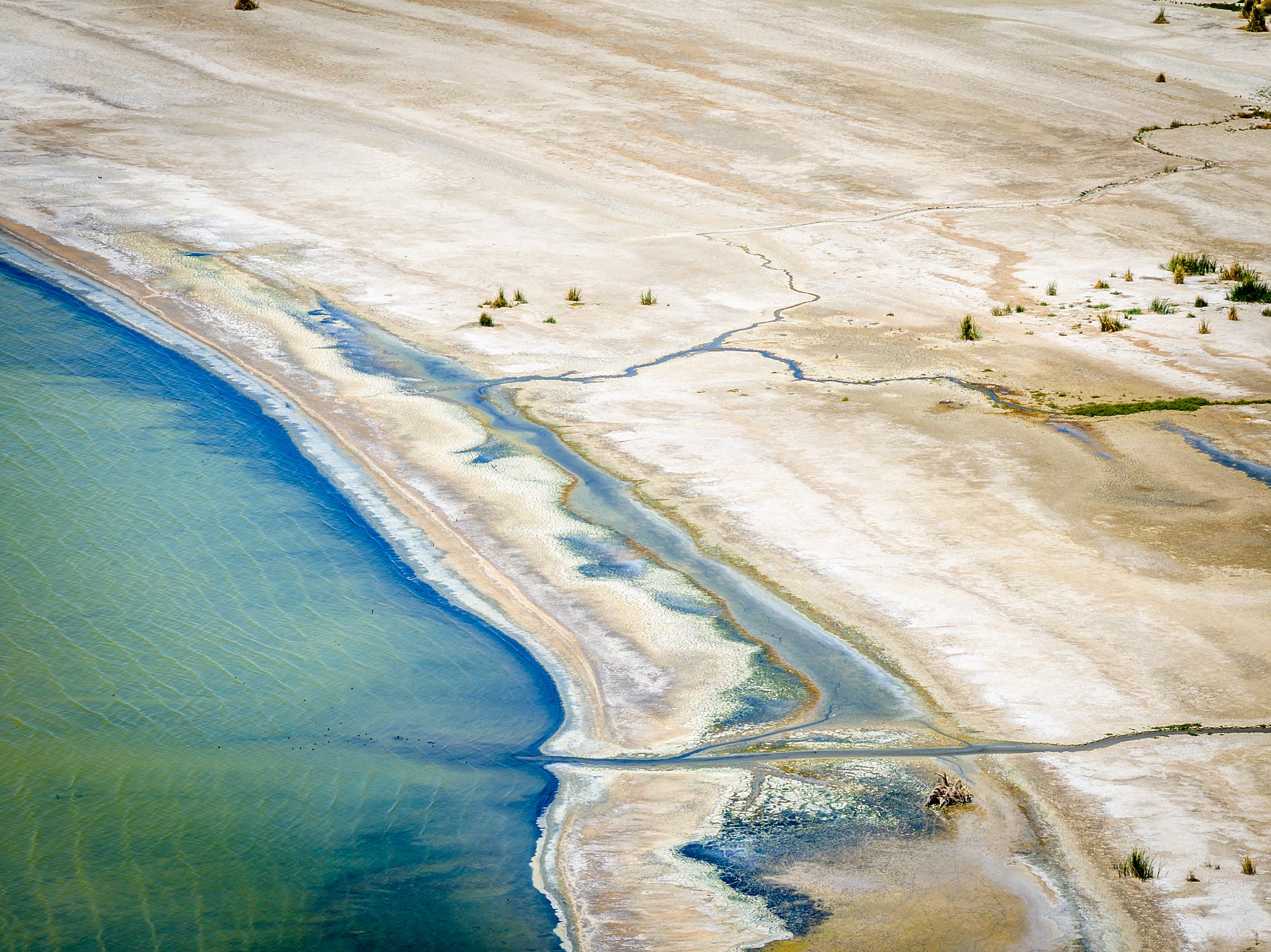 Salton Sea 🚤