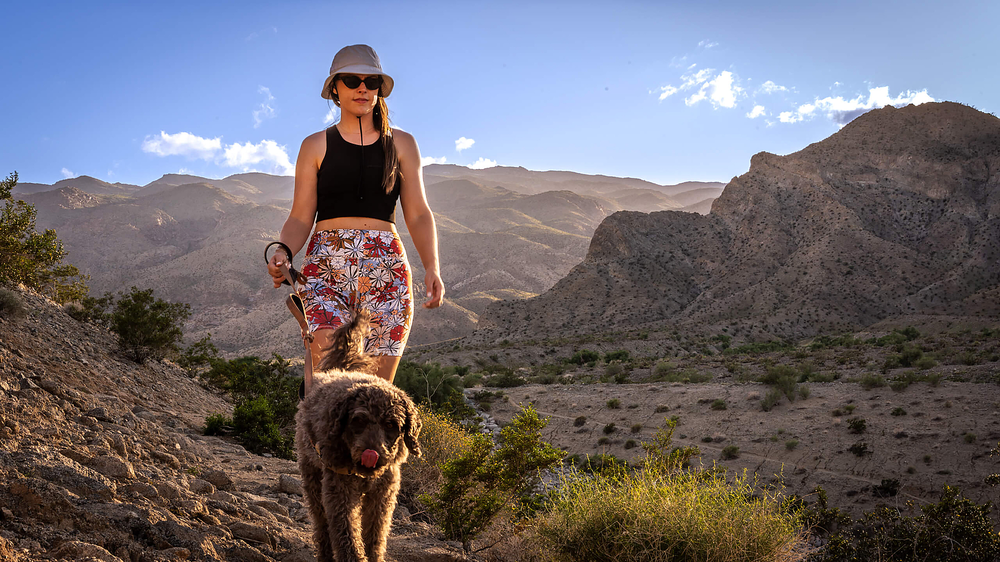 Person walking a dog on a hiking trail in La Quinta, California with mountains in the background.