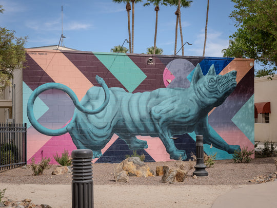 Coachella Walls: Murals of Pueblo Viejo
