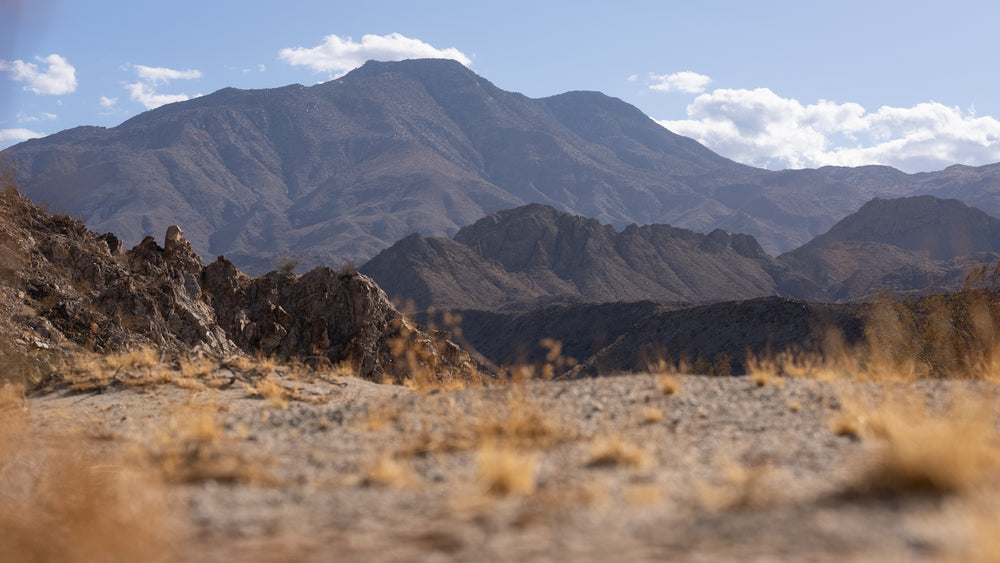 Coral Mountain