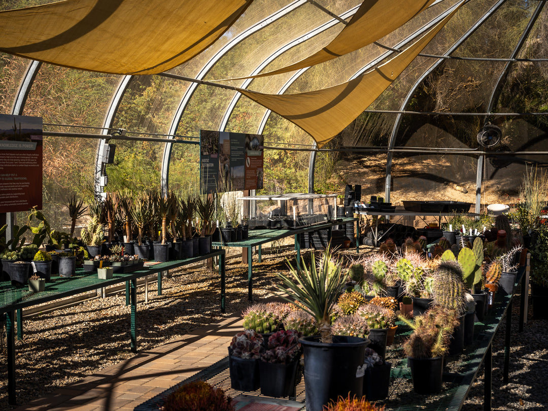 Desert Plant Conservation Center