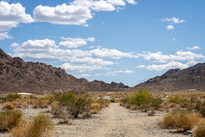 Desert trail lined with shrubs leading to rocky mountains under a blue sky in La Quinta, California.