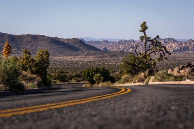 Winding road in a desert landscape with mountains and Joshua Tree in the background.