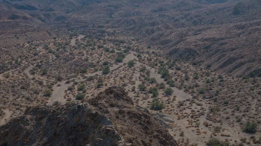 Wide view of a desert wash and its trees among the mountains near La Quinta Cove, September 2026