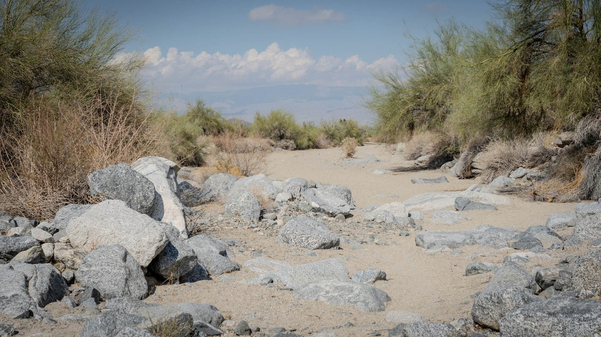 Sandy wash and boulders on the lower Bear Creek Oasis approach