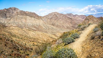 Ridge hiking trail overlooking desert mountains and valley in La Quinta, California under blue sky.
