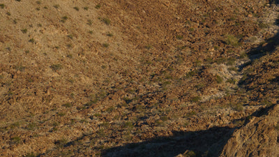 Rocky hillside beside La Quinta Cove with scattered desert shrubs and a narrow footpath.