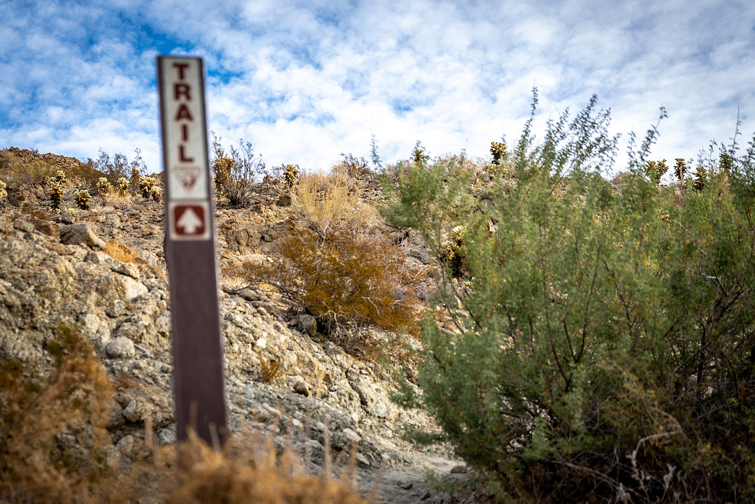 Hiking Trails in Palm Desert, CA