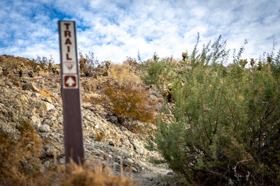 Trail marker surrounded by desert vegetation on the Randall Henderson Loop