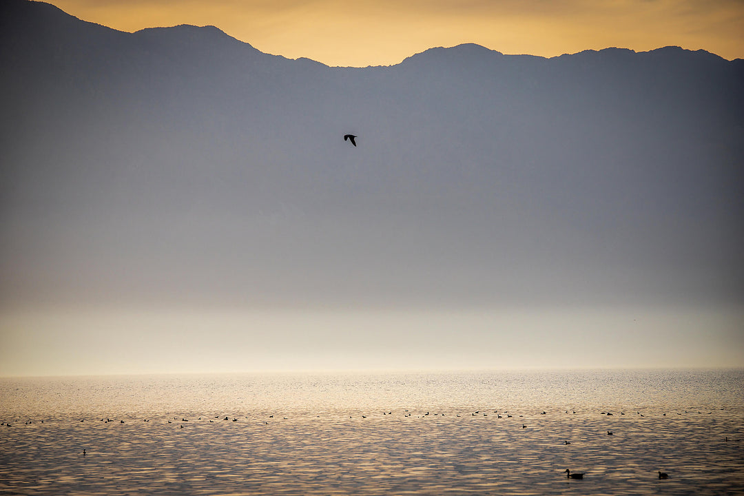 Salton Sea State Recreation Area
