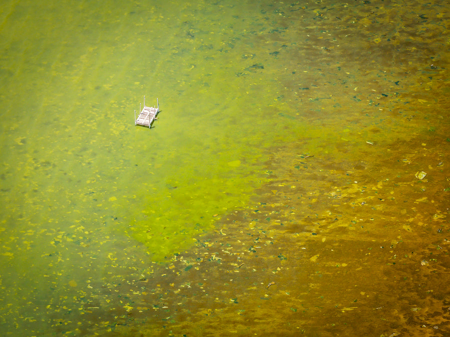 Textures of the Salton Sea