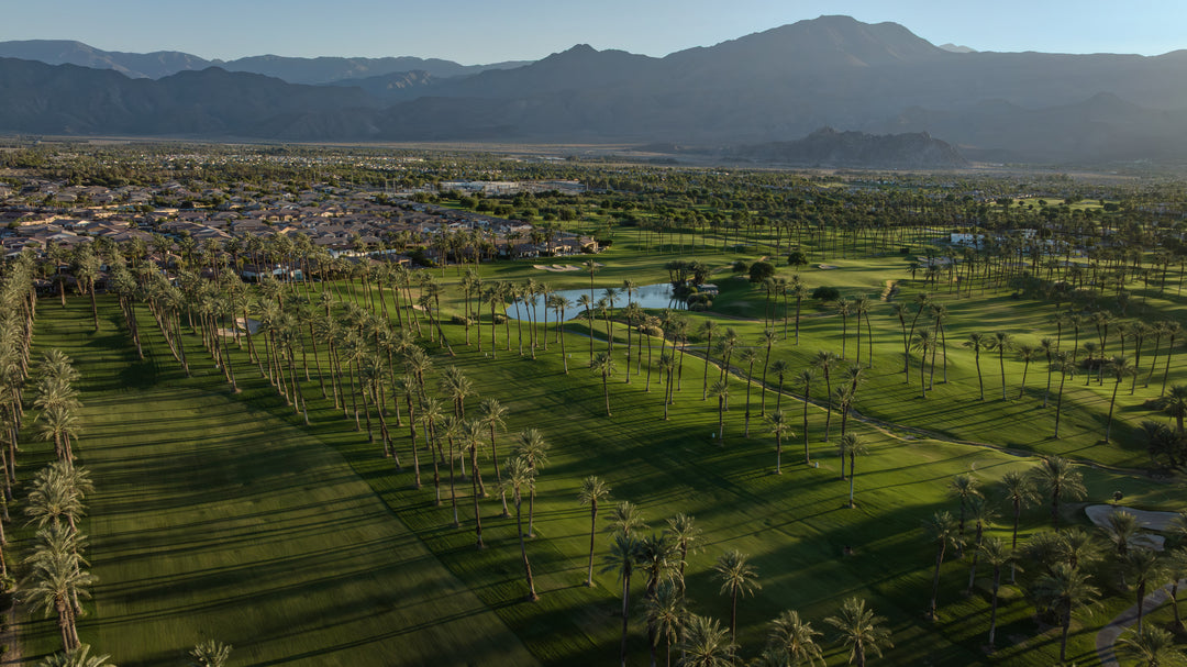The Palms Golf Club