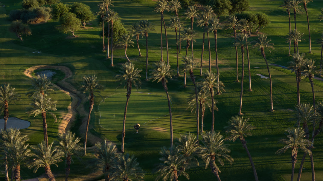 The Palms Golf Club
