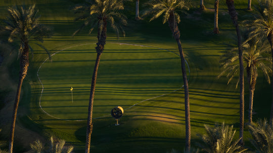 The Palms Golf Club