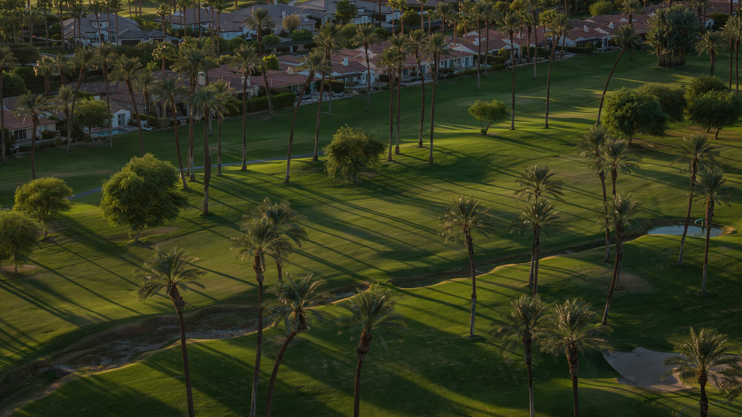The Palms Golf Club