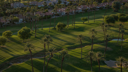 The Palms Golf Club