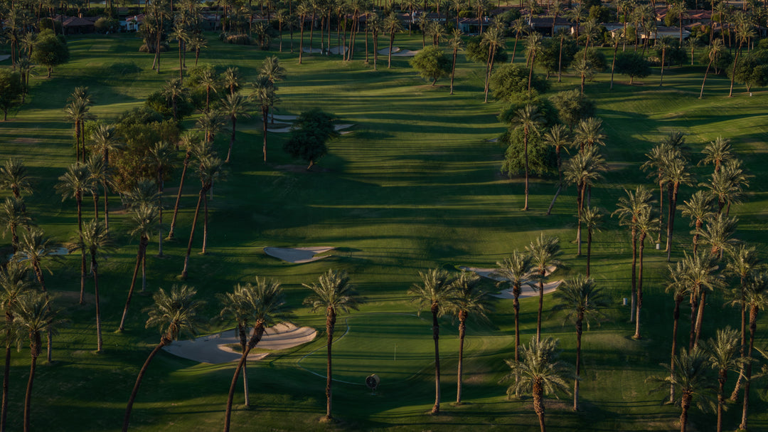 The Palms Golf Club