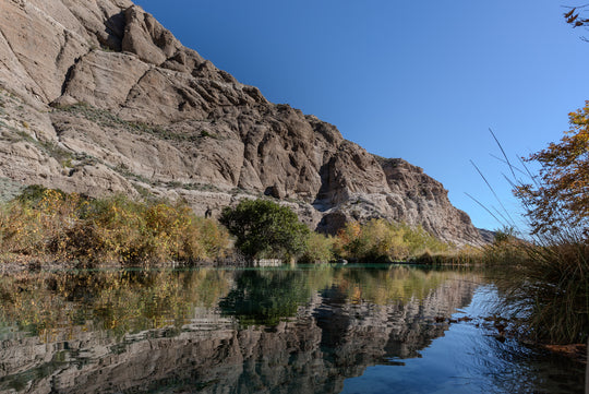 Whitewater Preserve