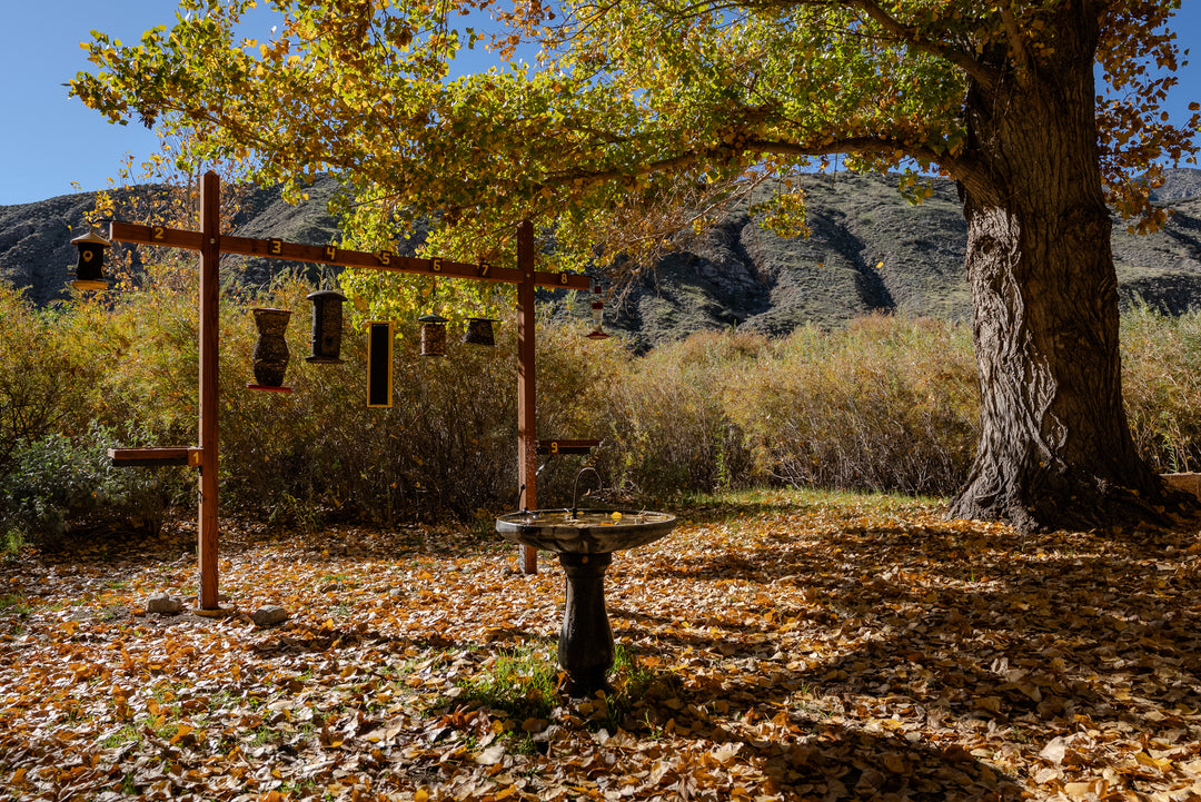 Whitewater Preserve