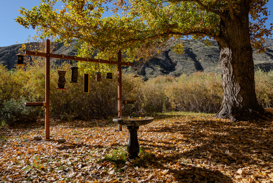 Whitewater Preserve