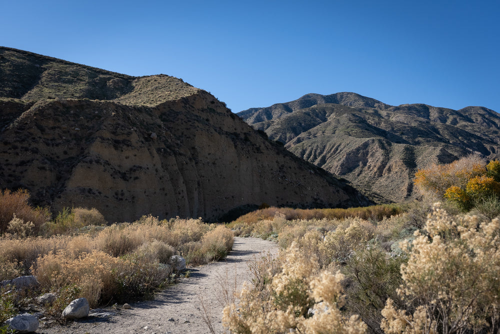 Whitewater Preserve