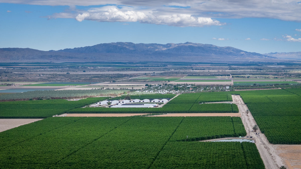 Agricultural fields and distant mountains, photographed on a drone flight launched from Thermal, California. Mark Miller, October 23, 2026.