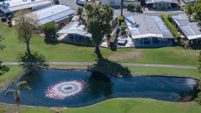 Homes beside a pond and fountain at Date Palm Country Club.