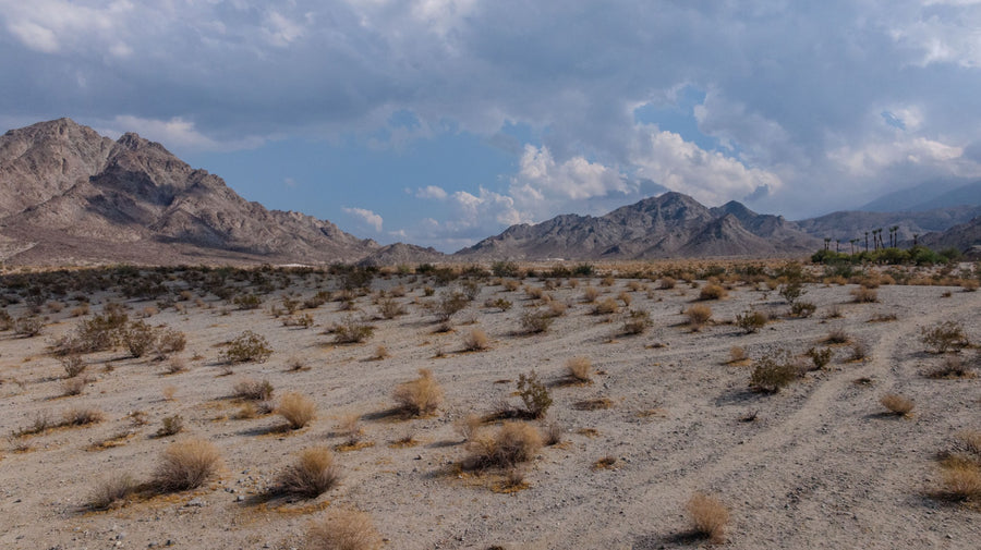 Wide view of La Quinta Cove with low tan shrubs and rocky mountains