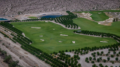 Ladera Golf Club fairways and bunkers bordered by orchard rows and desert. Thermal, California. Mark Miller, October 23, 2026.