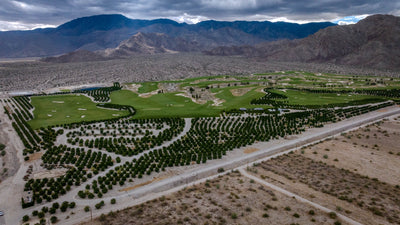 Wide view of Ladera Golf Club, orchard rows and surrounding desert. Thermal, California. Mark Miller, October 23, 2026.